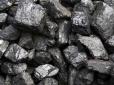 Оце так: Польща купує вугілля у компаній російського олігарха, якого особисто нагородив Путін